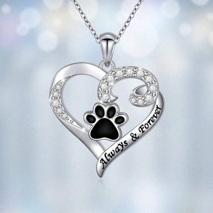 Collar de Acero Inoxidable Elegante con Corazón y Huella para Aficionados a los Perros