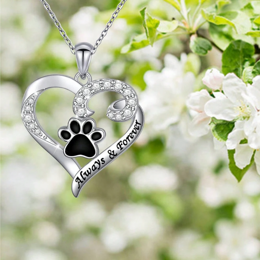 Collar de Acero Inoxidable Elegante con Corazón y Huella para Aficionados a los Perros