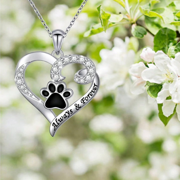Collar de Acero Inoxidable Elegante con Corazón y Huella para Aficionados a los Perros