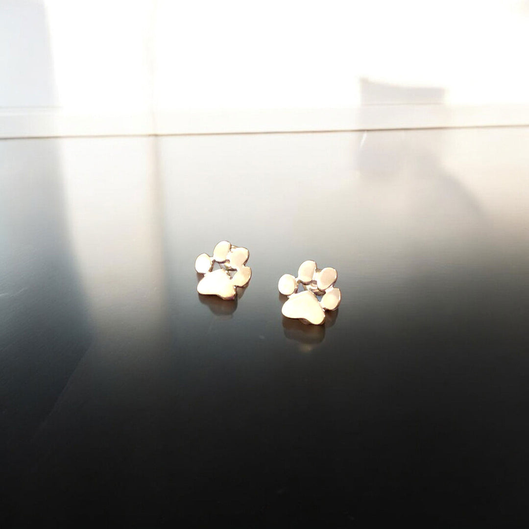 Pendientes Hipoalergénicos con Diseño de Huellita