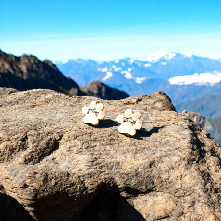 Pendientes Hipoalergénicos con Diseño de Huellita