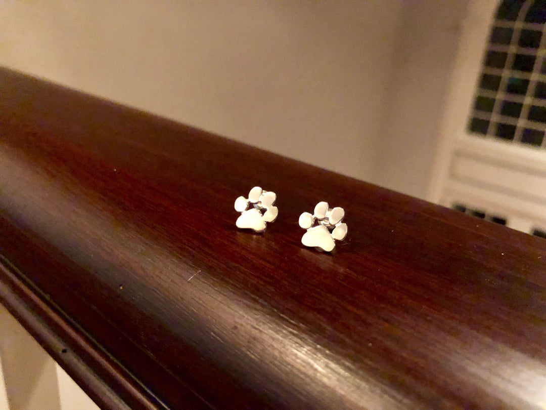 Pendientes Hipoalergénicos con Diseño de Huellita